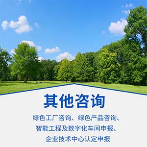 其他咨詢 